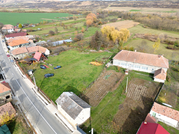 DJI_20251108132630_0007_D (1).jpeg