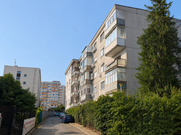 aleea salaj jpg site.jpg
