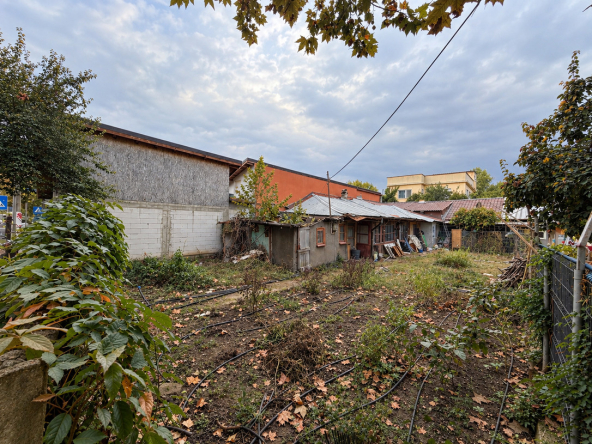Curte de grădină curățată toamna.jpg